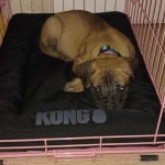 View Gallery Image #1