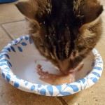 View Gallery Image #5