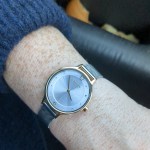 Skw2340 skagen outlet