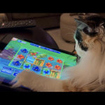 View Gallery Image #10