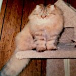 View Gallery Image #12