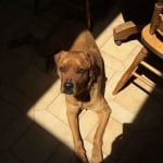 View Gallery Image #1