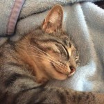 View Gallery Image #1