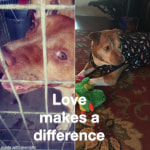 View Gallery Image #14