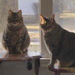 View Gallery Image #8