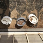 View Gallery Image #7