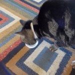 View Gallery Image #2