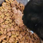 View Gallery Image #14