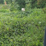 View Gallery Image #6