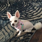 View Gallery Image #3