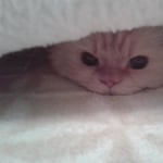 View Gallery Image #7