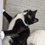 View Gallery Image #3