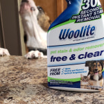 Woolite 22 oz Pet Urine Eliminator by Woolite at Fleet Farm