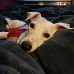 View Gallery Image #2