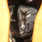 View Gallery Image #7