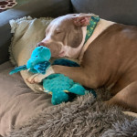 View Gallery Image #15