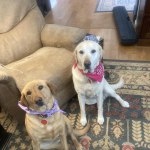 View Gallery Image #5