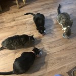 View Gallery Image #6