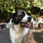 View Gallery Image #2