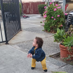 View Gallery Image #8