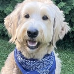 View Gallery Image #1