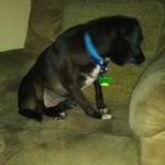 View Gallery Image #3