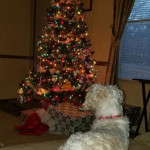 View Gallery Image #12