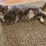 View Gallery Image #6