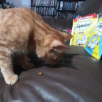 View Gallery Image #1