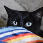 View Gallery Image #9