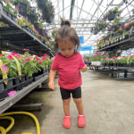 View Gallery Image #12