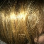 View Gallery Image #13