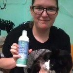 zesty paws oatmeal shampoo