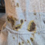 View Gallery Image #3