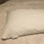 AllerEase T240 Thread-Count Ultimate Standard/Queen Size Pillow Protector