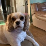 View Gallery Image #5