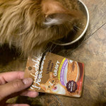 View Gallery Image #3