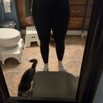 View Gallery Image #3