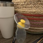 View Gallery Image #7