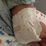 View Gallery Image #9