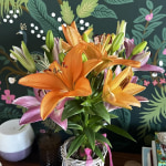 lily⭐︎ Vibrant Summer Lily Bouquet | 1800Flowers.com