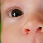 View Gallery Image #7