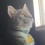 View Gallery Image #14