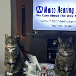 View Gallery Image #1