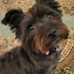 View Gallery Image #14