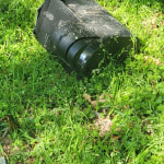 View Gallery Image #10