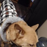 View Gallery Image #7