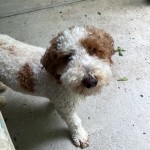 View Gallery Image #15