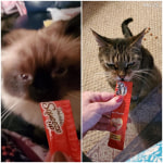 View Gallery Image #2