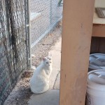 View Gallery Image #15